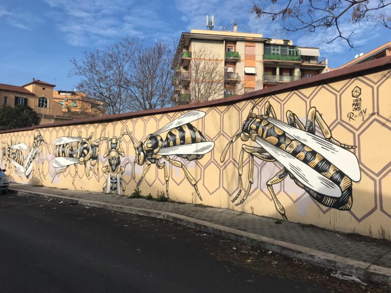 Sveja - Sveja LucameleonteGranoMuro - Sveja